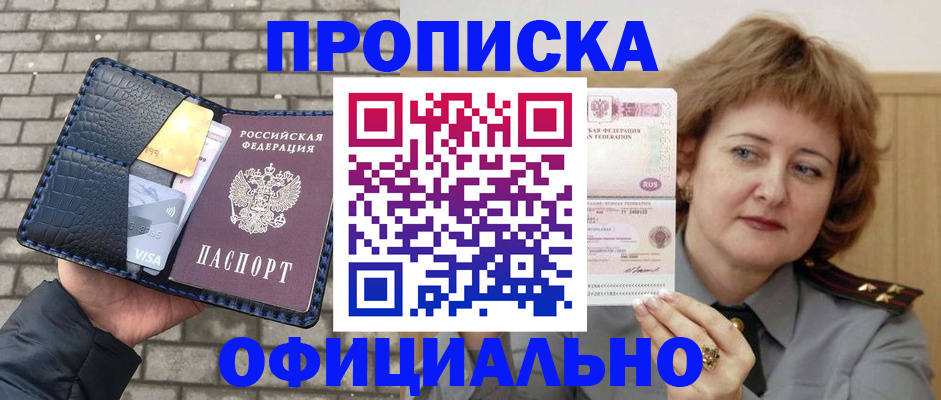 прописка поиск в Камышине